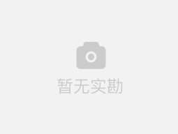 海上嘉年华